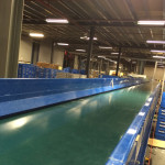 Dunnage removal conveyor